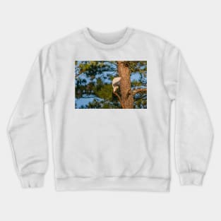 Egret Crewneck Sweatshirt